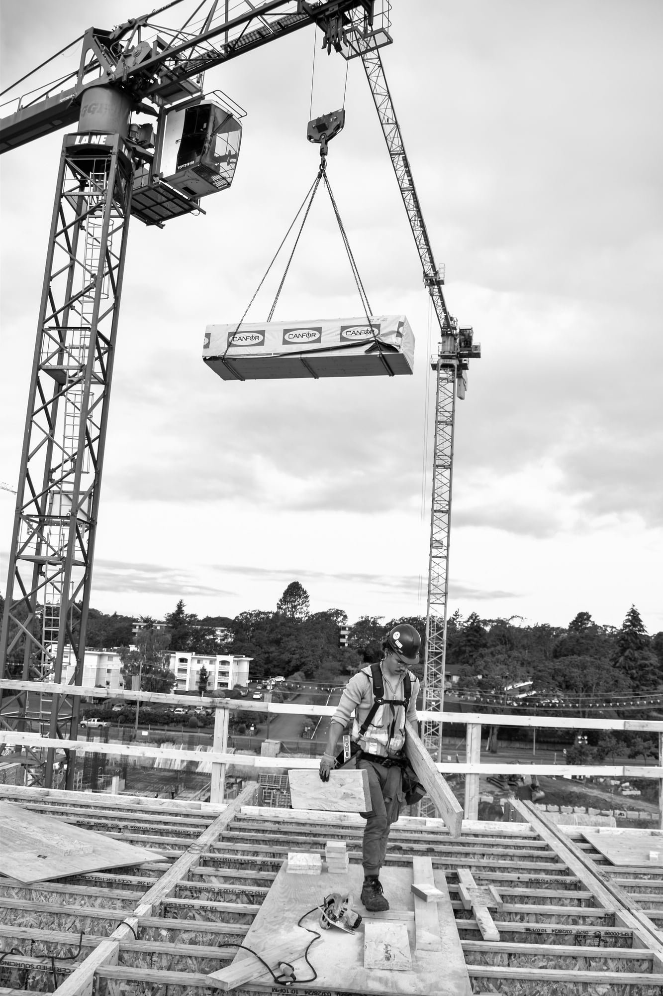 16 DSC_0668